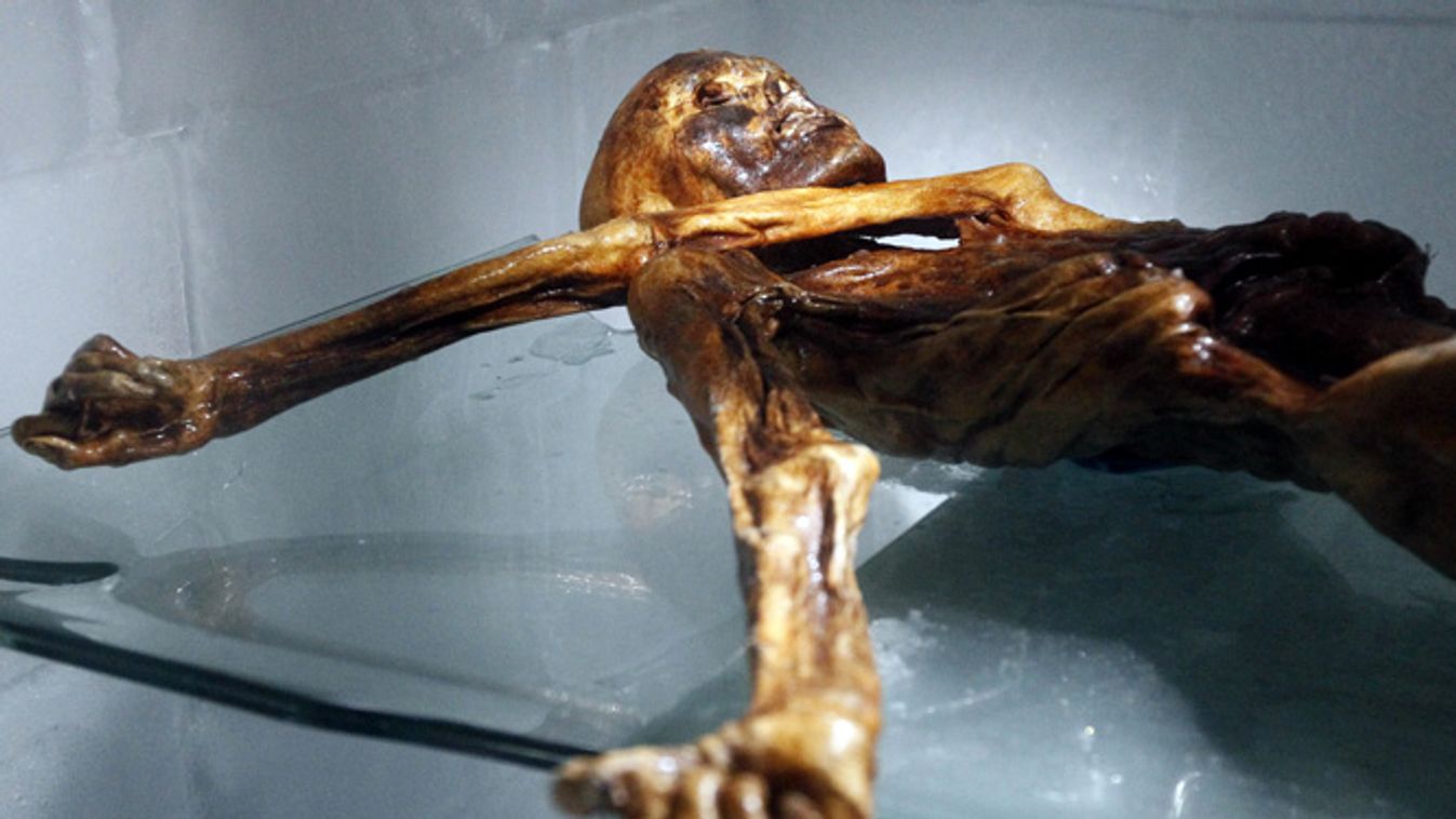 Ezo, Ötzi rokonai ma is élnek 