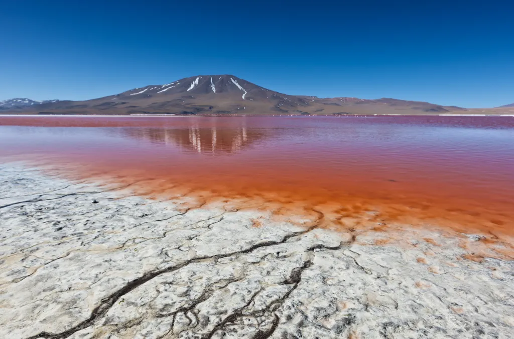 Vörös, tó, Bolívia, Laguna, Colorada, 