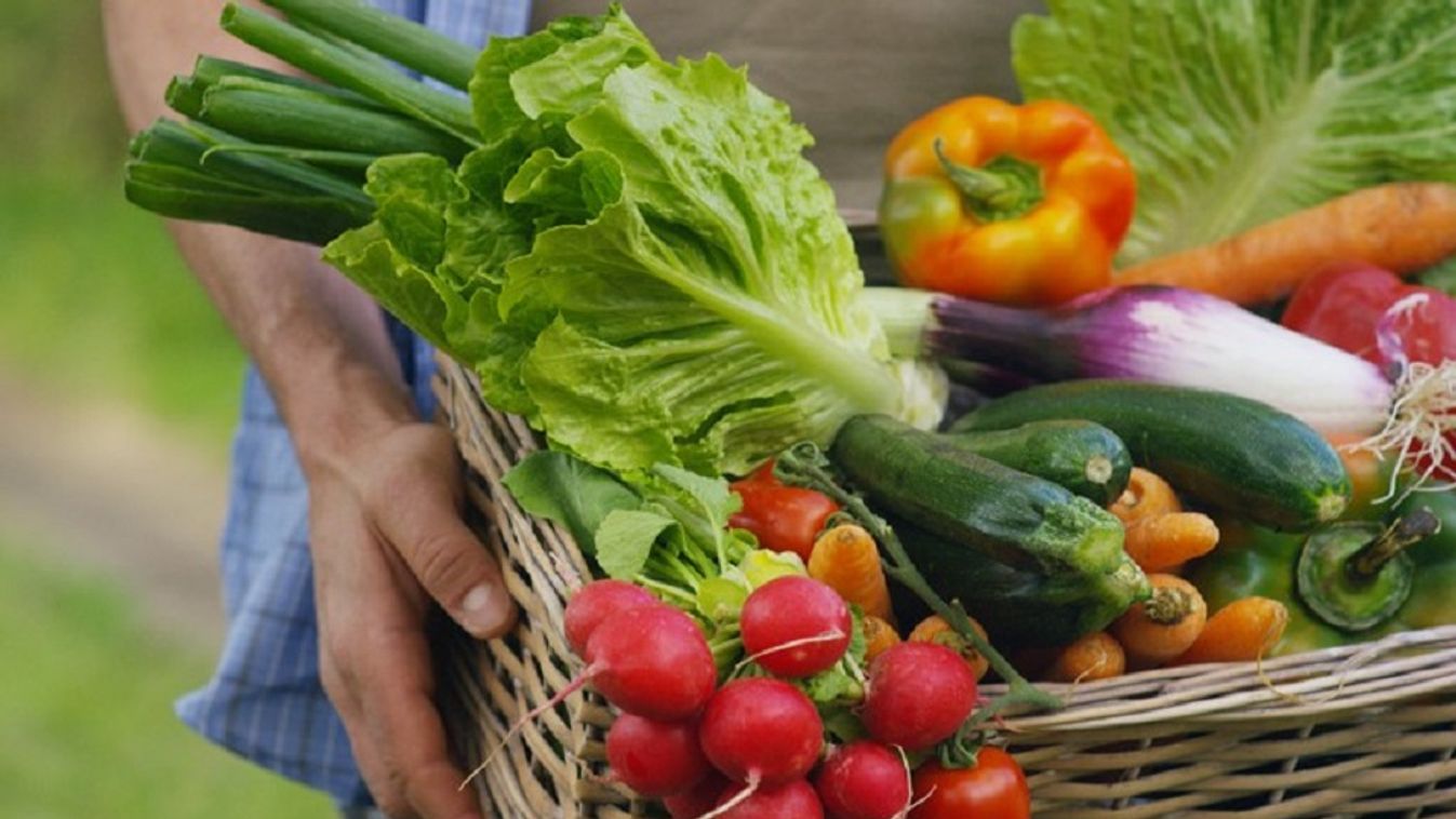 zöldség,piac,usa 