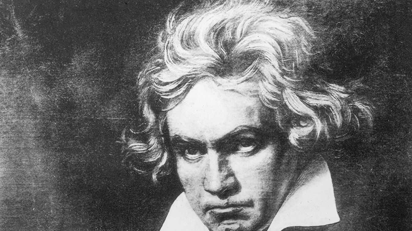 Ludwig Van Beethoven Híres történelmi alakok és zsenik, akik különös betegségekben szenvedtek 