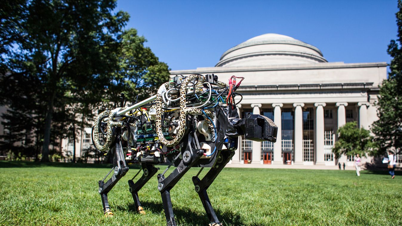 "gepárd" robot, MIT 