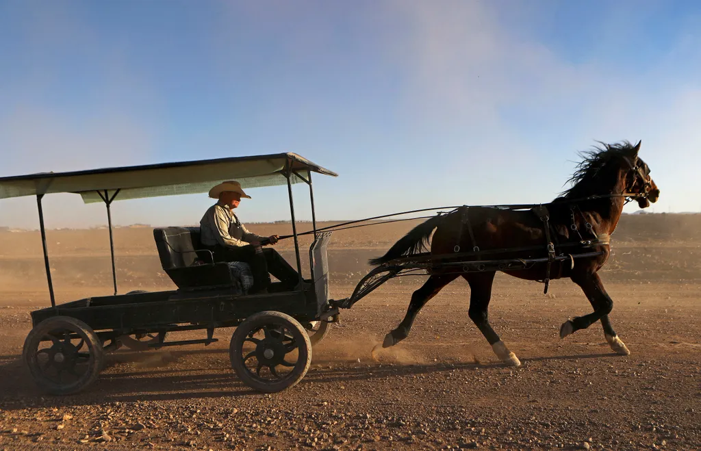 mennoniták, Sabinal, Mexikó 