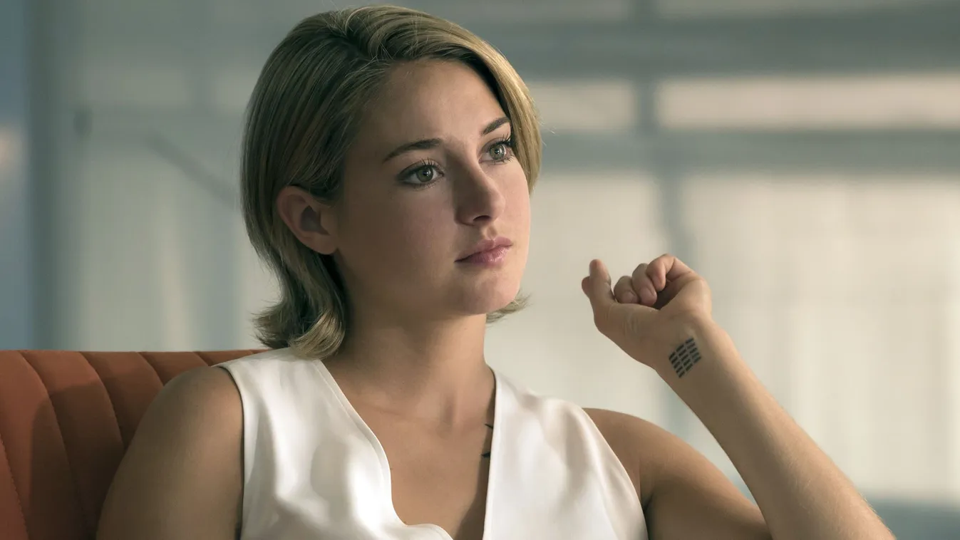 Shailene Woodley 