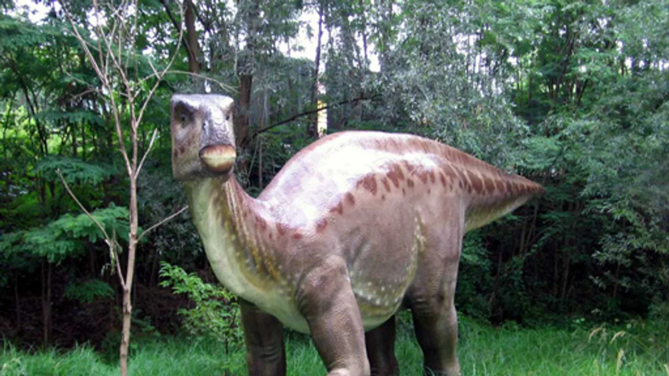 Iguanodon 