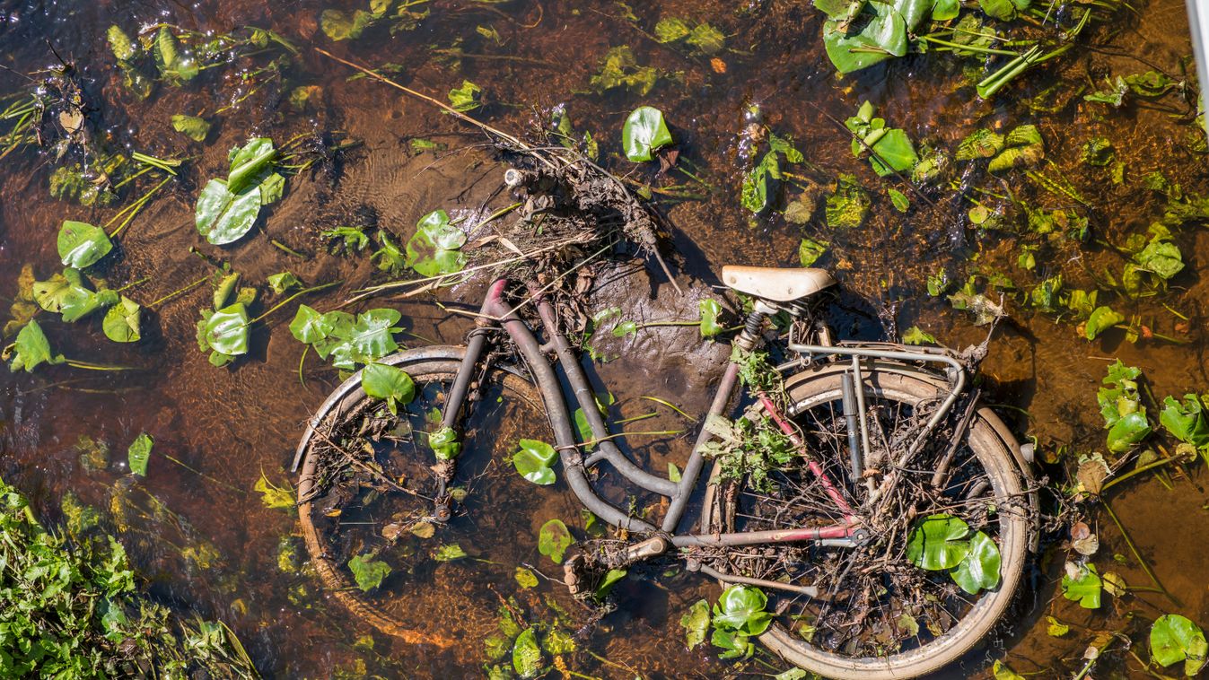 Old,Bicycle,Lying,Abandoned,On,The,Bottom,Of,A,River Old bicycle lying abandoned on the bottom of a river among water lilies, partially under water and covered with mud 
