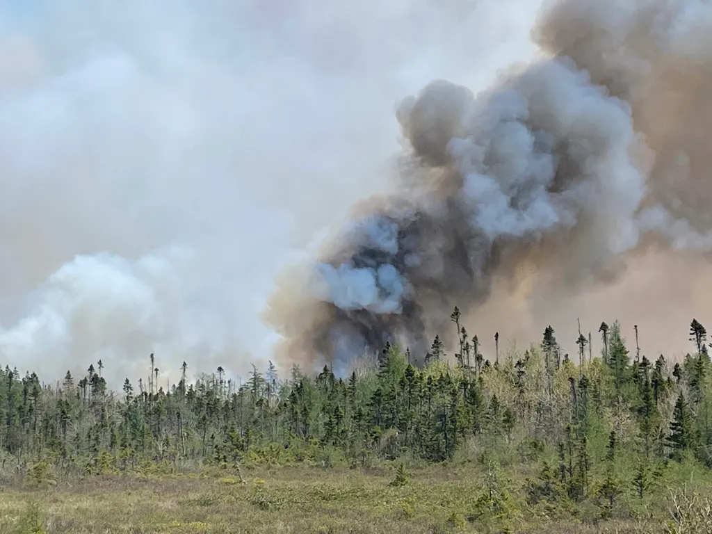 Kanada, Erdőtűz, 2023.május.29., 