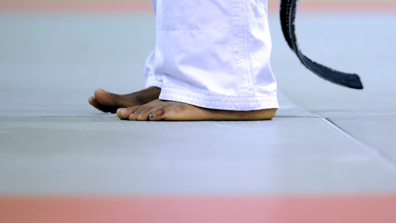 dzsúdó, judo, illusztráció 