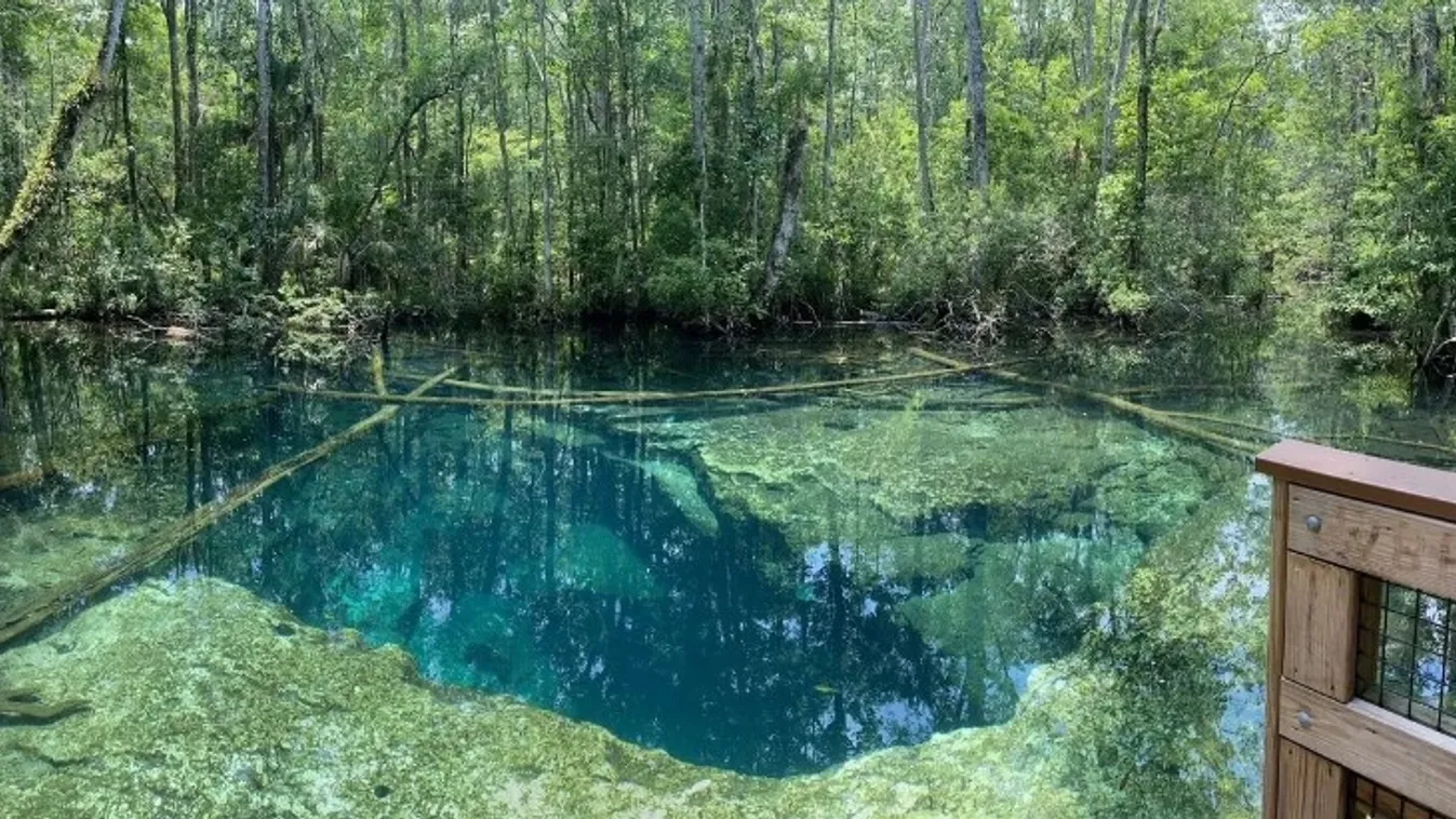 Buford Springs, tó, barlang 