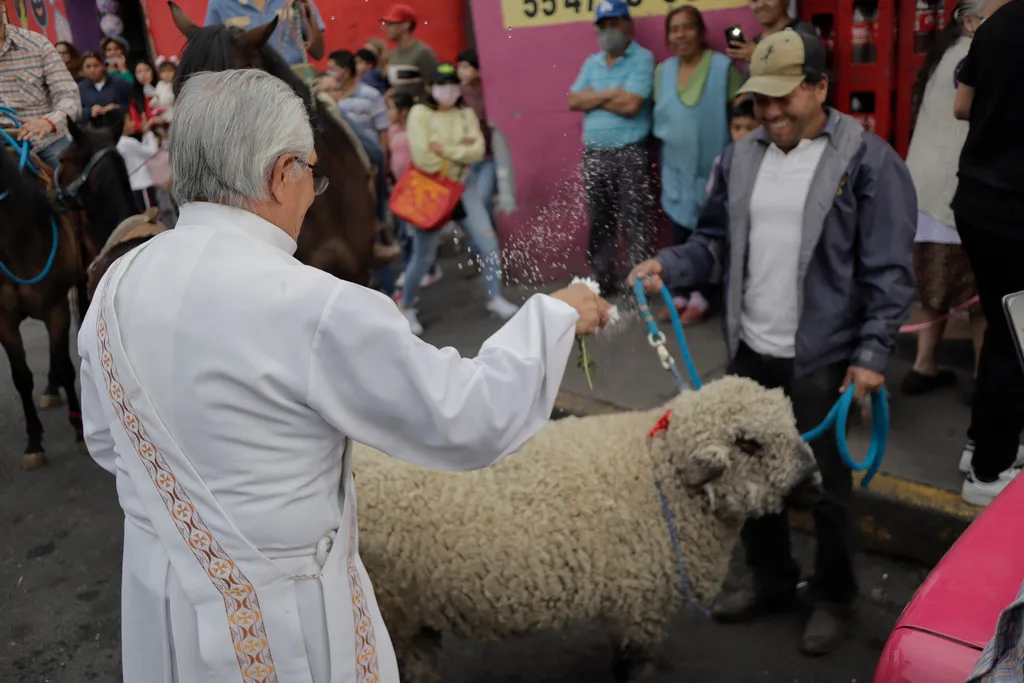 Blessing Of Animals In Mexico On The Occasion Of San Antonio Abad Blessing of animals in Mexico on the occasion of San Antonio Aba San Antonio Abad Mexico City Coyoacán Culhuacán CDMX HUM Human interest Animals Faith Traditions Culture Parish Dogs Birds C