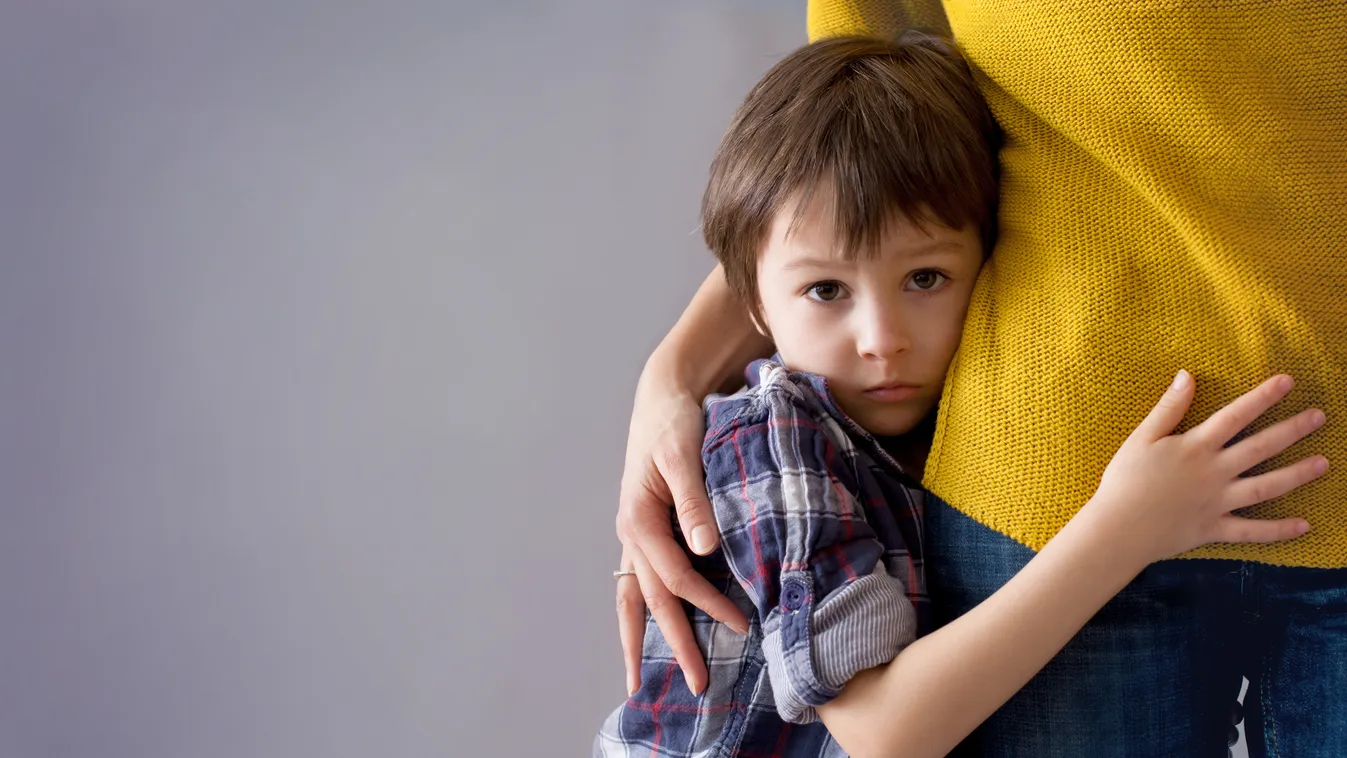 Sad little child, boy, hugging his mother at home Women Boys Forgiveness Facial Expression Cute Pain Adult Child Crying Thinking Embracing Frustration Problems Sadness Grief Rudeness Love Loss Lifestyles Childhood Serious Pensive Worried Emotion Human Fac