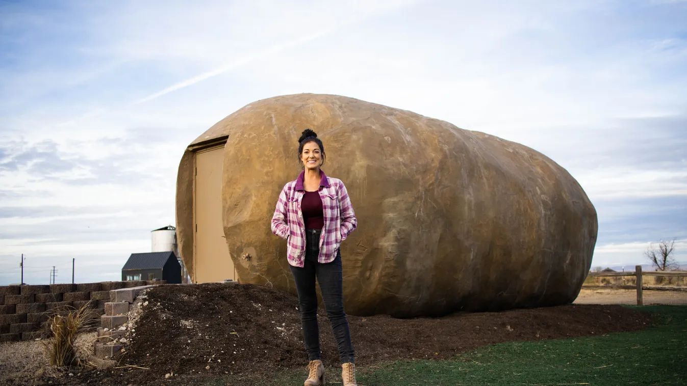 Big Idaho Potato Hotel 