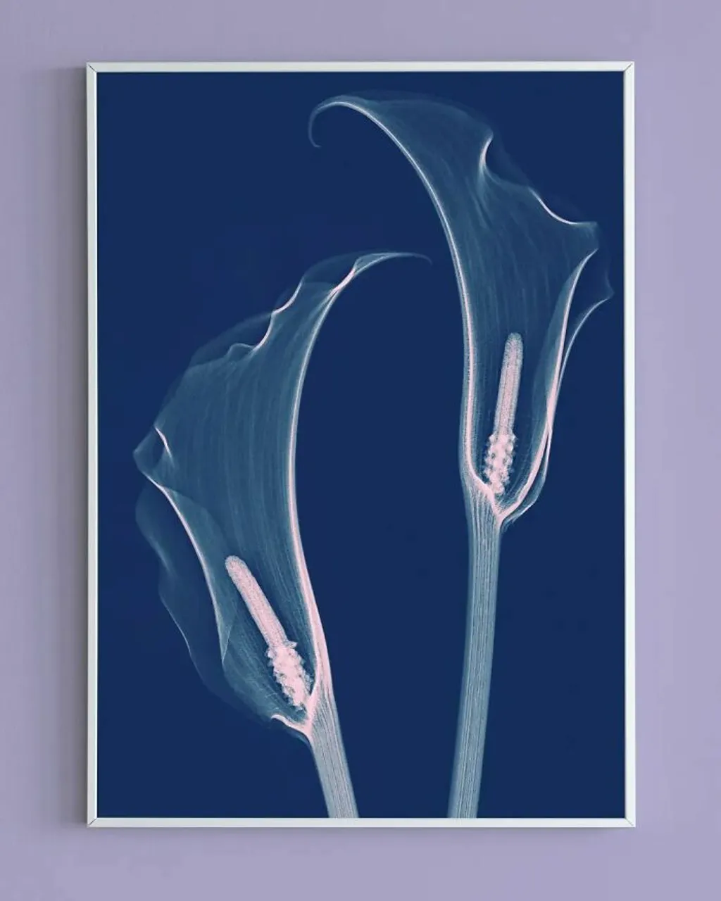 Lenyűgöző röntgenképek a természetről , virág, röntgen, röntgenkép, művészet 