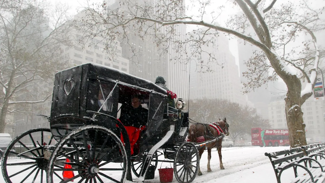 Lovaskocsi A Handsome Cab makes its way through Central Park during the first significant snowfall of the season in New York City 05 December, 2002. 
AFP PHOTO   Timothy A. CLARY 