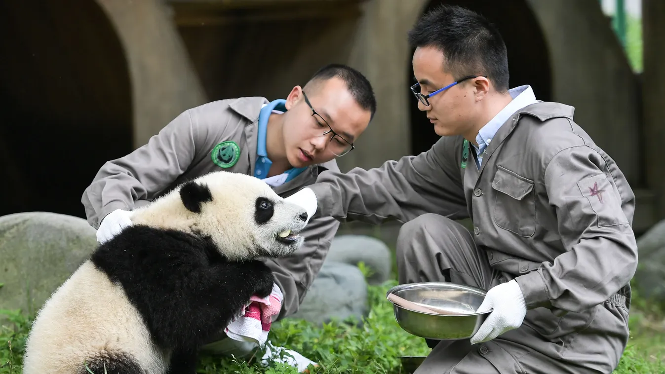 (EcoChina)CHINA-HORTICULTURAL EXPO-SICHUAN (CN) cn 