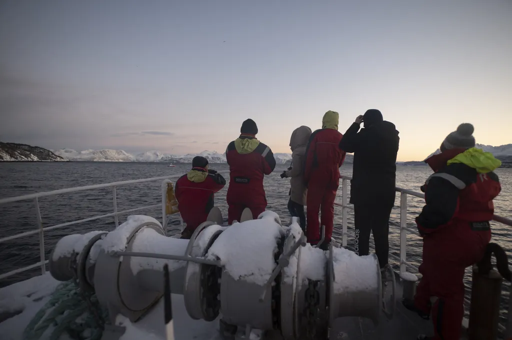 climate environment-pollution nature oceanography Horizontal