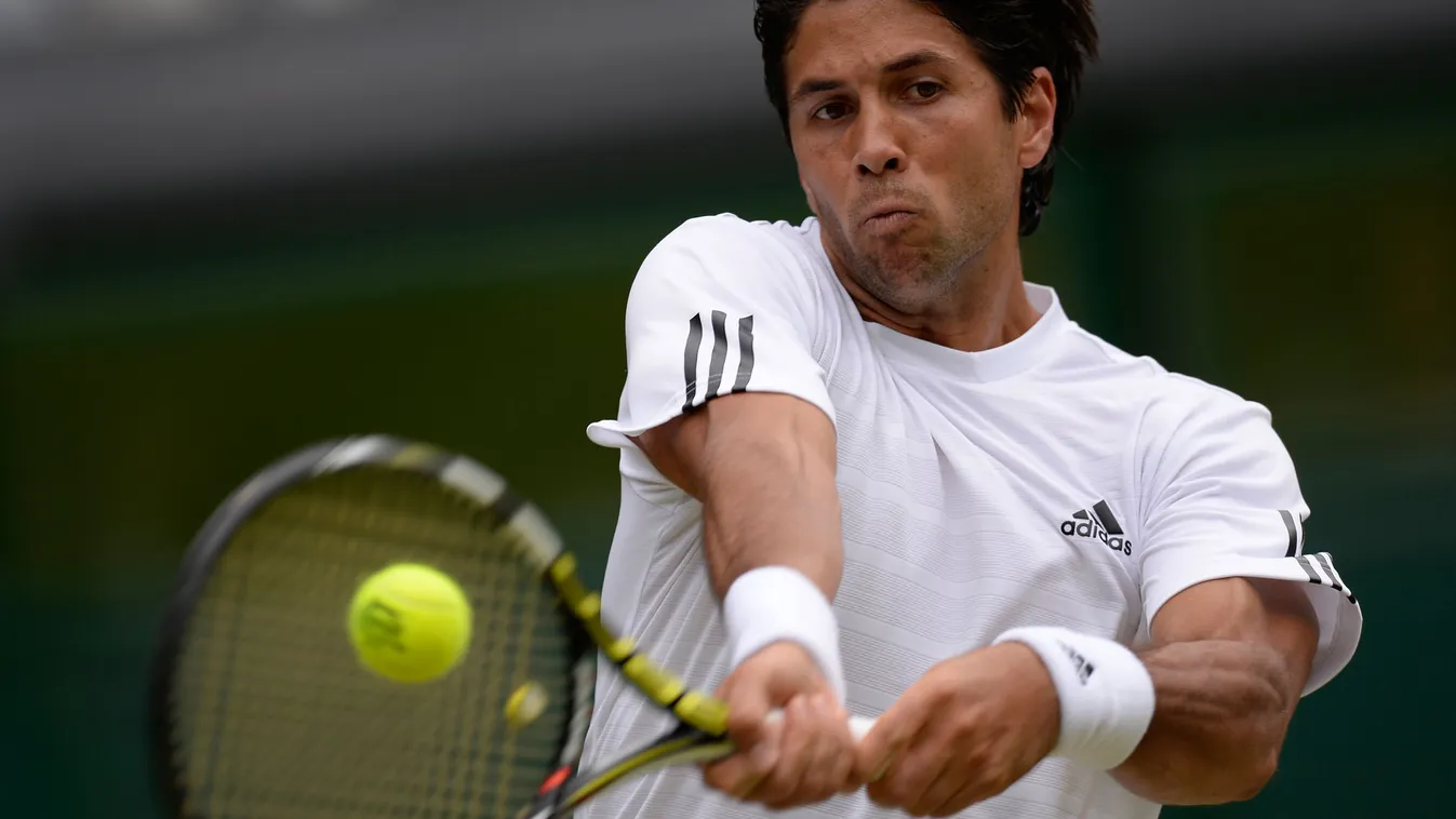 Wimbledon, Fernando Verdasco 