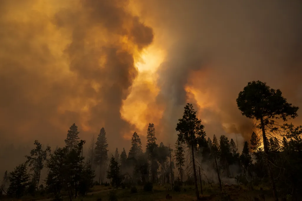 erdőtűz, erdő, tűz, lángok, ég, kalifornia, egyesült államok 