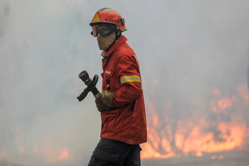 Portugália, erdőtűz, tűz, tűzoltó, Serta 