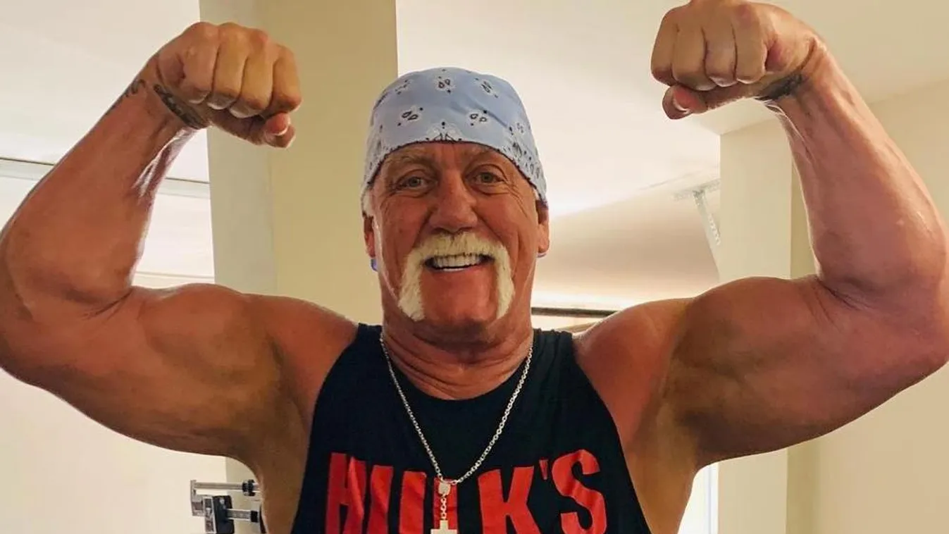 Hulk Hogan 