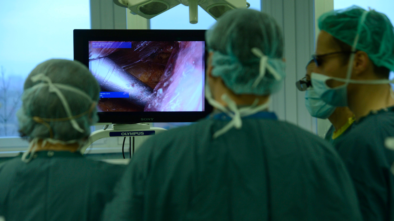 Budapest, 2015. január 16.
Orvosok figyelik 3D-s technológiával végzett laparoszkópos urológiai műtétet a budapesti Jahn Ferenc Kórházban 2015. január 16-án. A Minimál invazív eljárások az urológiában című előadáshoz kapcsolódó műtétet az érdeklődő szakem