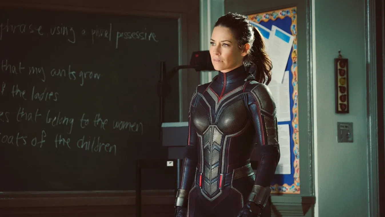 Evangeline Lily, Ant-Man and the Wasp, A Hangya és a Darázs 