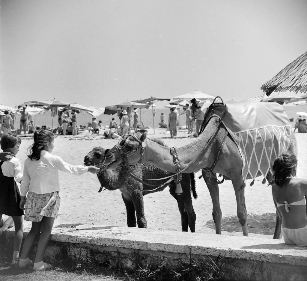 Bulgária, Aranyhomok tengerpart,  tengerpart 1965 szocialista nyaralás 