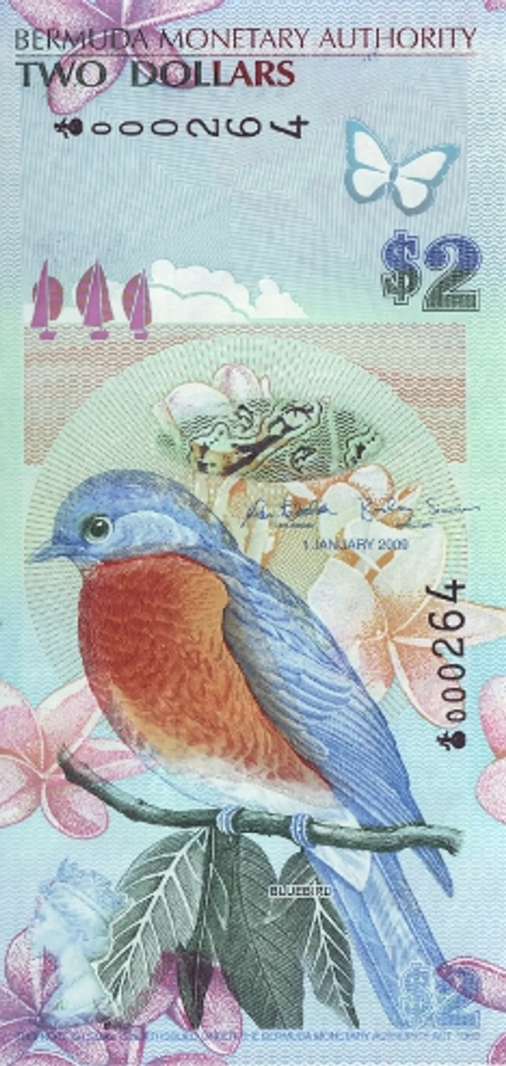 Bankjegyek, Bermuda's 2-Dollar note 