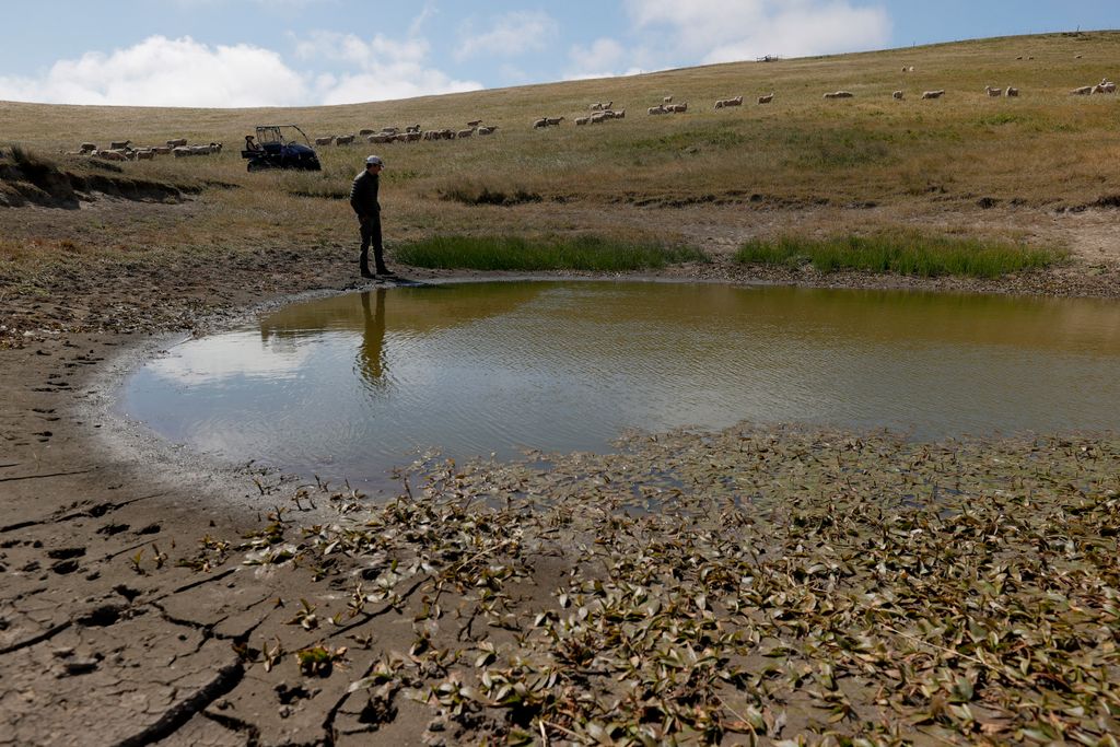 Cattle Ranchers In California Cope With Increasing Drought Conditions GettyImageRank1 Color Image bestof topix Horizontal ENVIRONMENT 