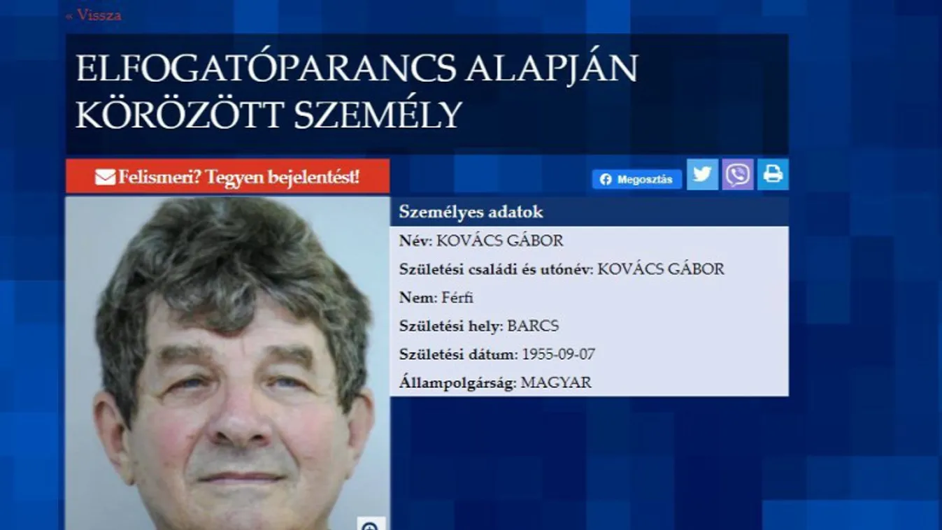 Kovács Gábor, pedofil, LMP, elfogás, pedofília, megrontás, kisfiú, rendőrség 