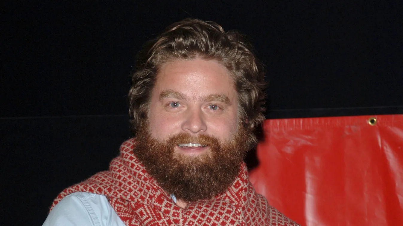 Zach Galifianakis 