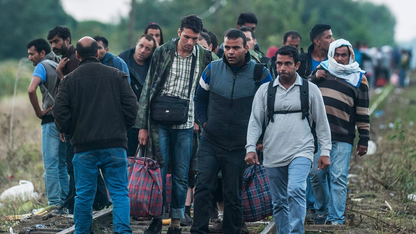 bevándorló, határ, menekült, migráns, vasút 