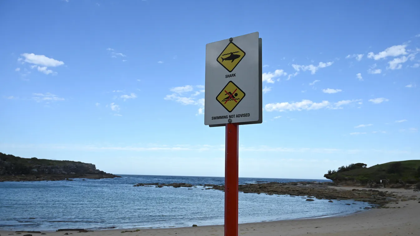 cápa veszély strand Sydney 