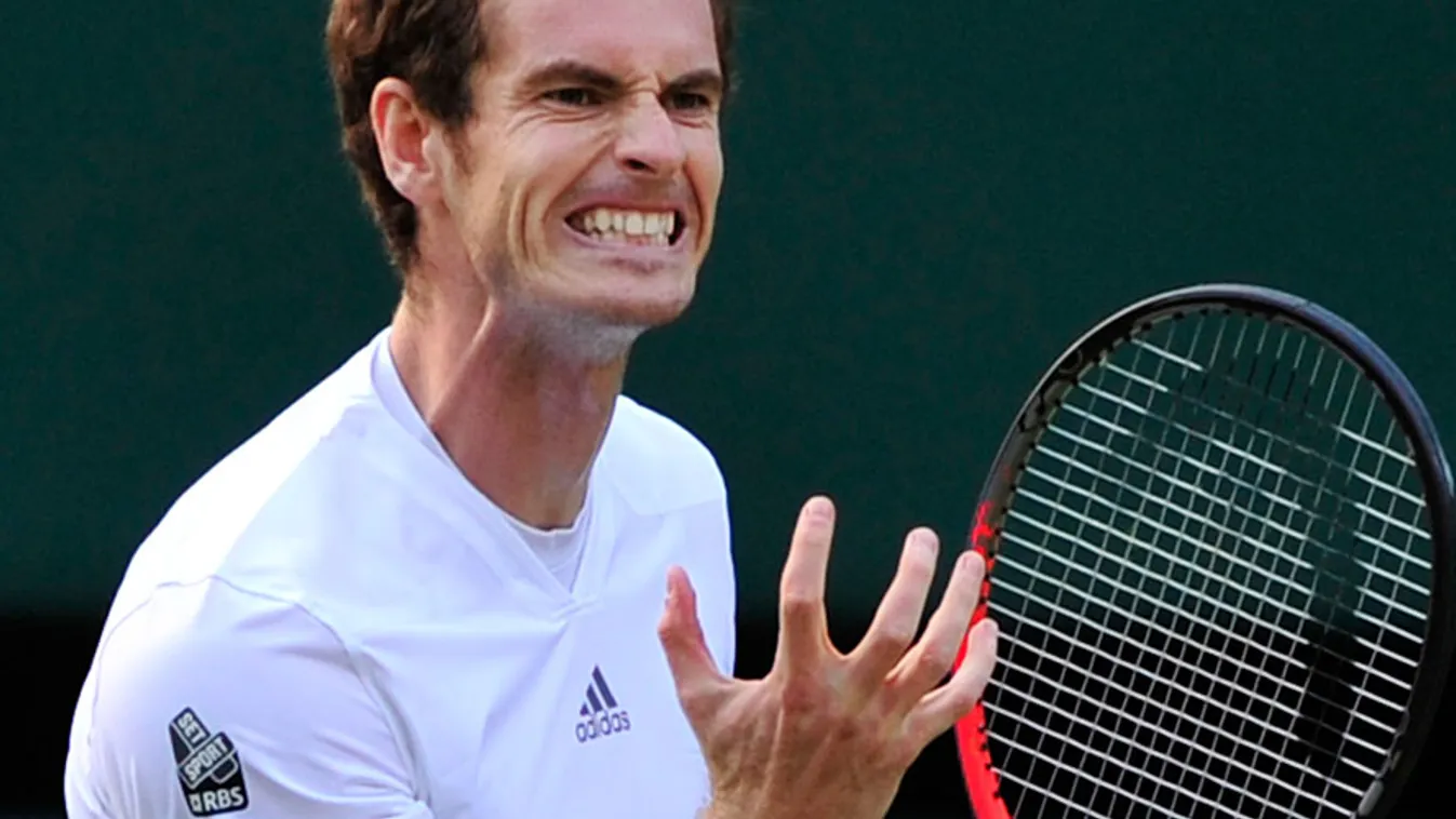 Andy Murray, Wimbledon, ideges