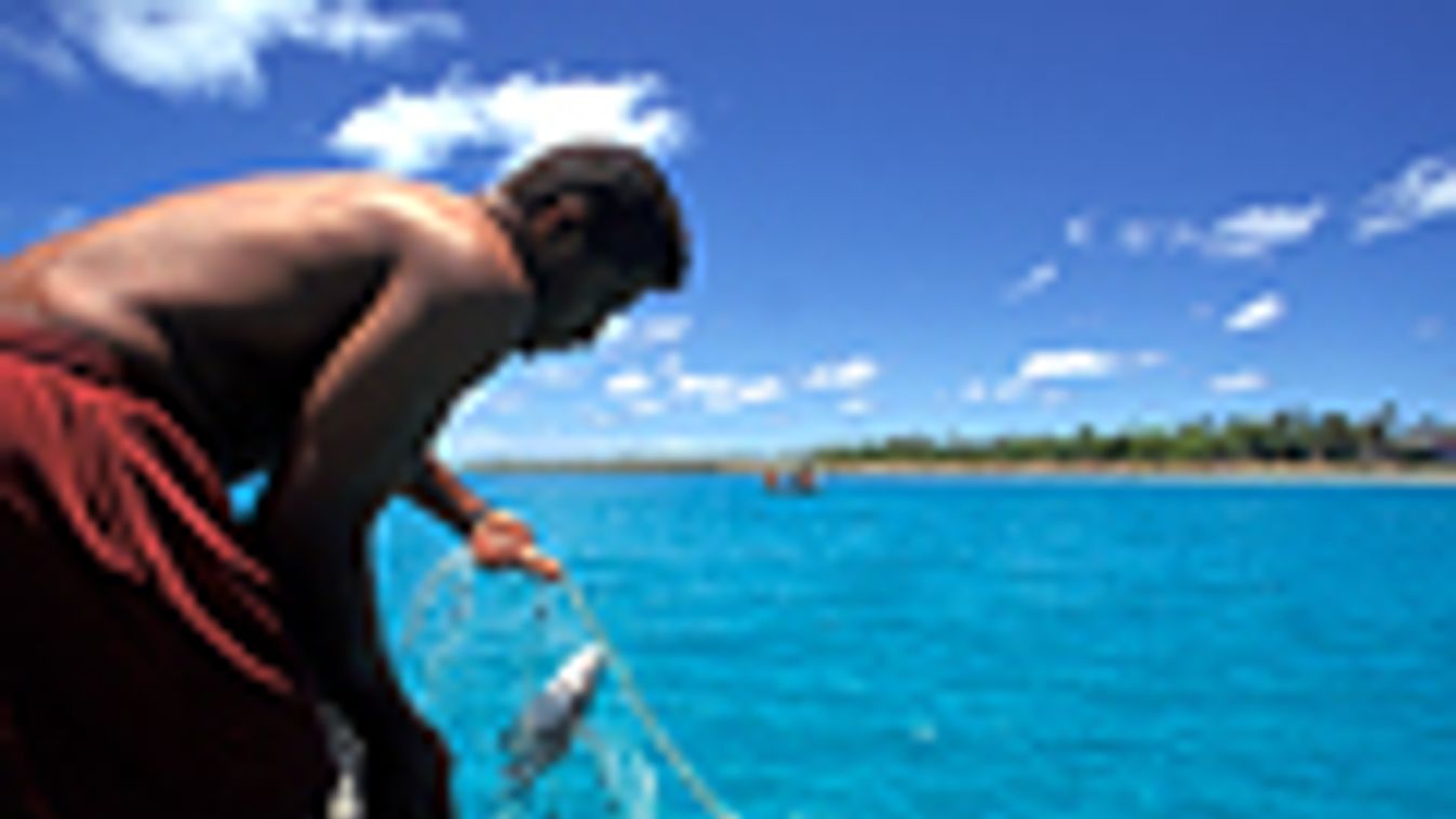 Tongai Királyság, Tonga, halász a Lifura szigetnél