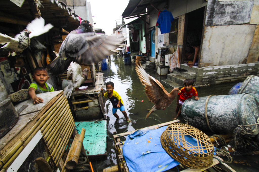 Jakarta galéria
Sea level rises in Jakarta due to Supermoon life Jakarta supermoon high tides sea level 