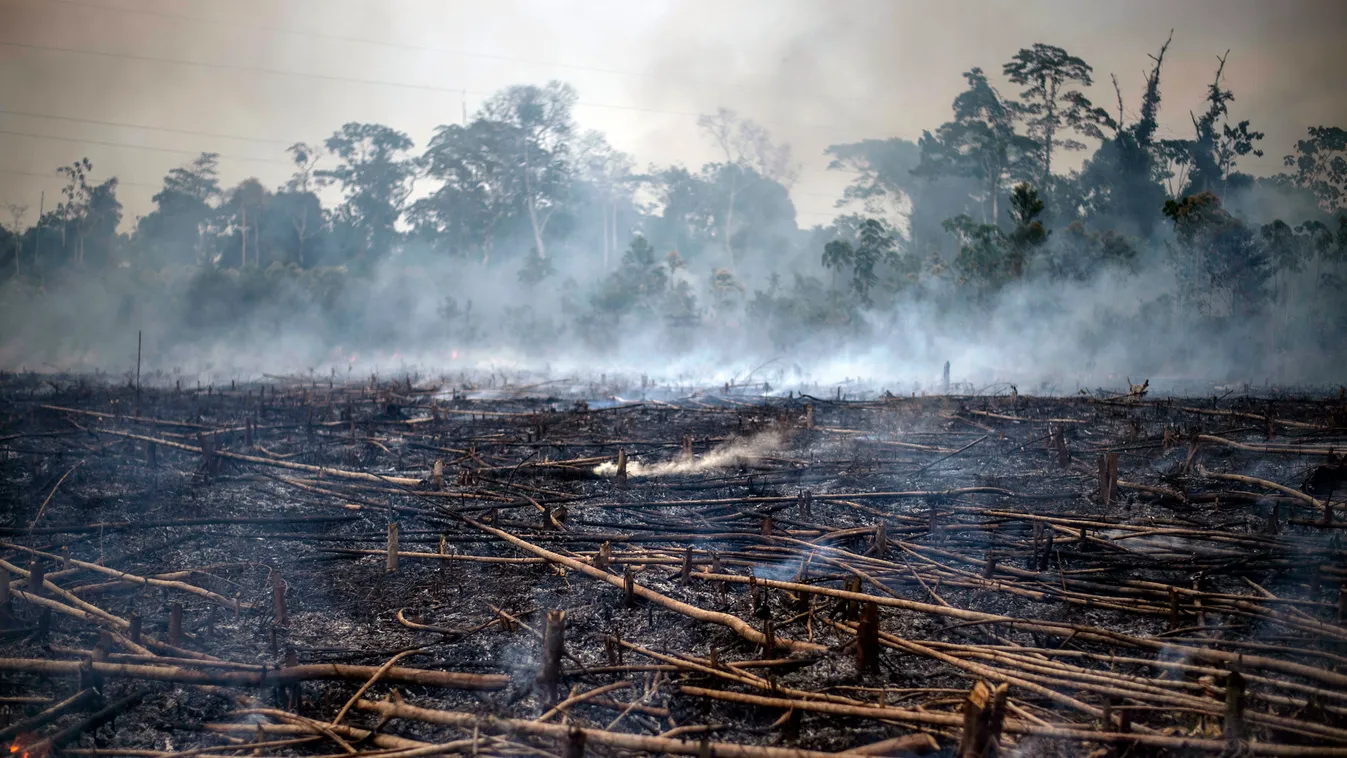 Amazónia erdőirtás tűz 