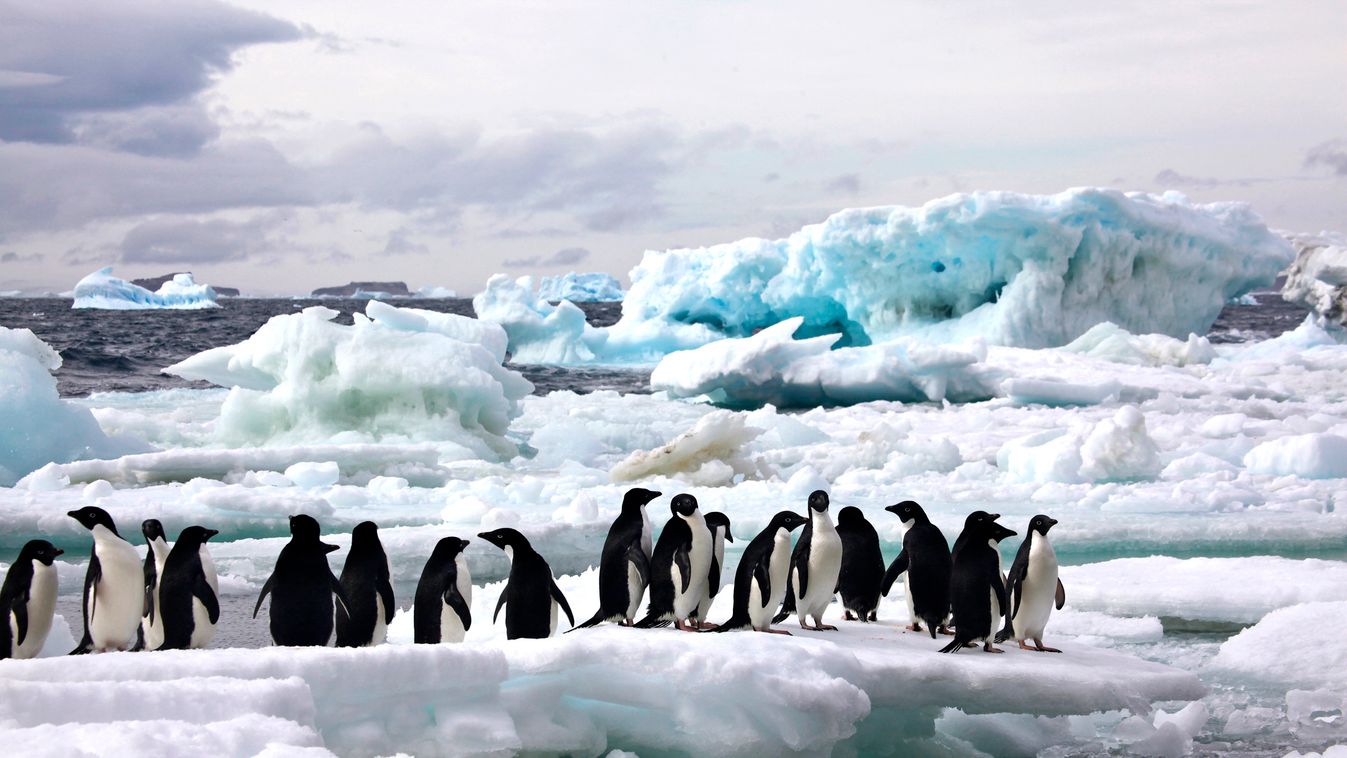 Antarktisz, olvadó jégtakaró, tengerszint emelkedés, globális felmelegedés 