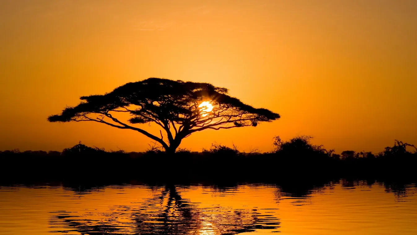 Afrika naplemente hangulat 