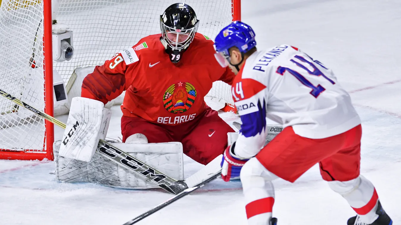 Ice hockey. World Championship. Belarus vs. Czech Republic 