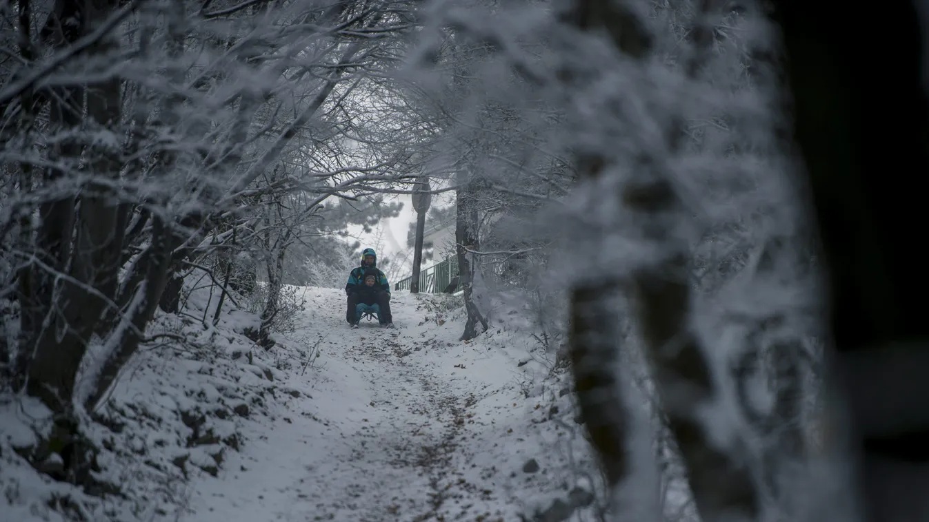 ÉVSZAK fa havas hó IDŐJÁRÁS NÖVÉNY ösvény szánkózik tél turistaút 
