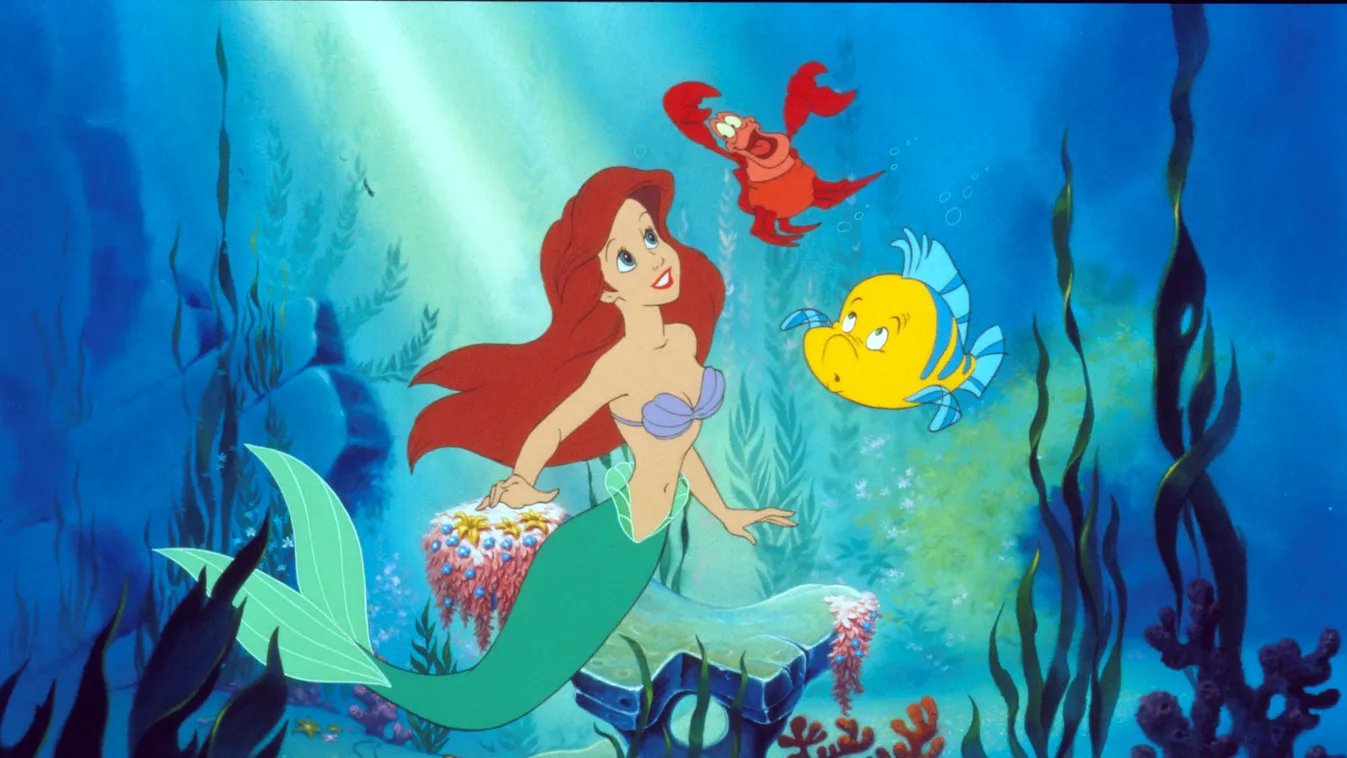 Little Mermaid, The (1989) usa Cinema ANIMAL animaux marin Animal sailor poisson FISH SIREN mermaid animation dessin animé animated drawing HORIZONTAL 