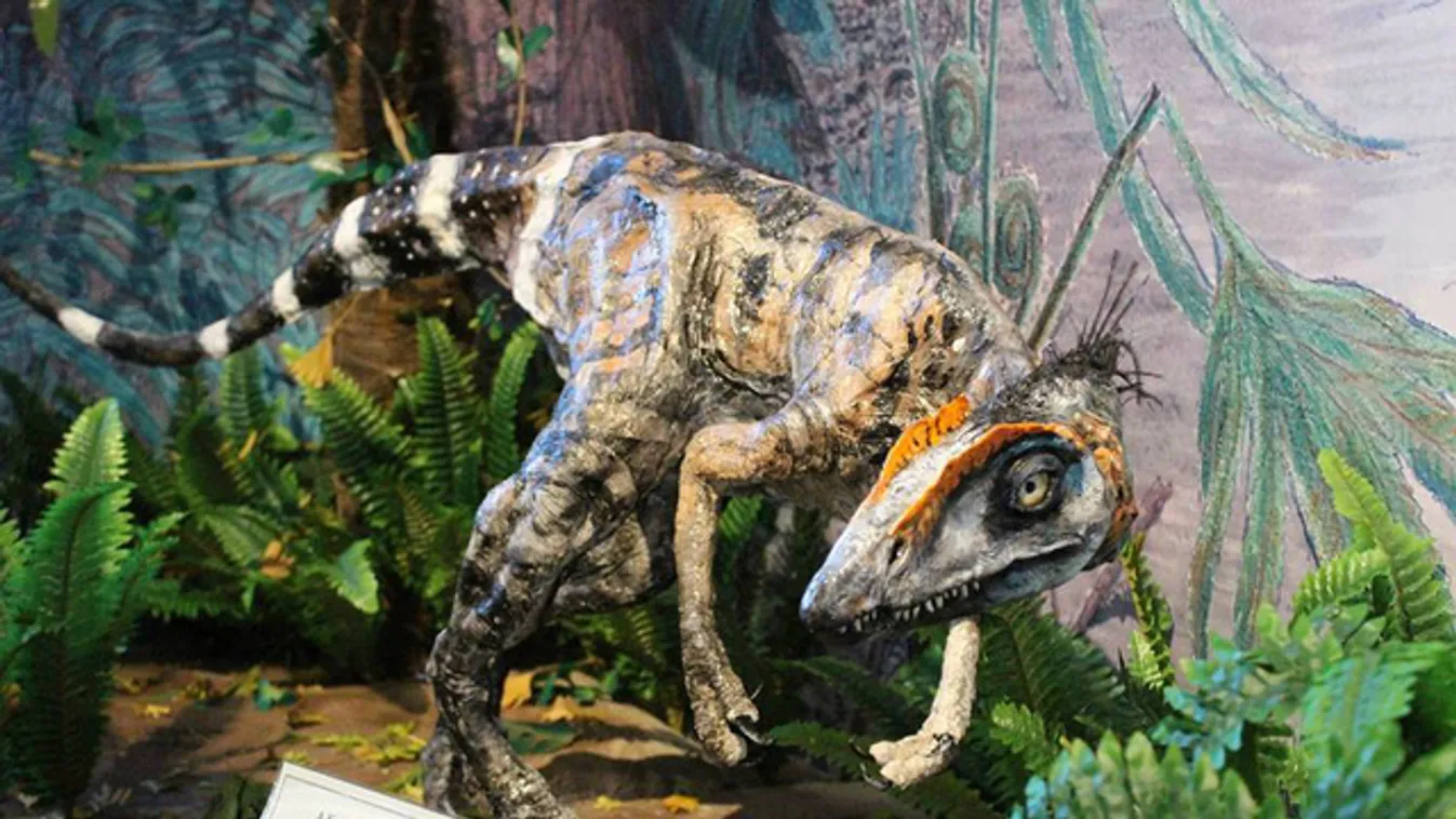 Komlosaurus 