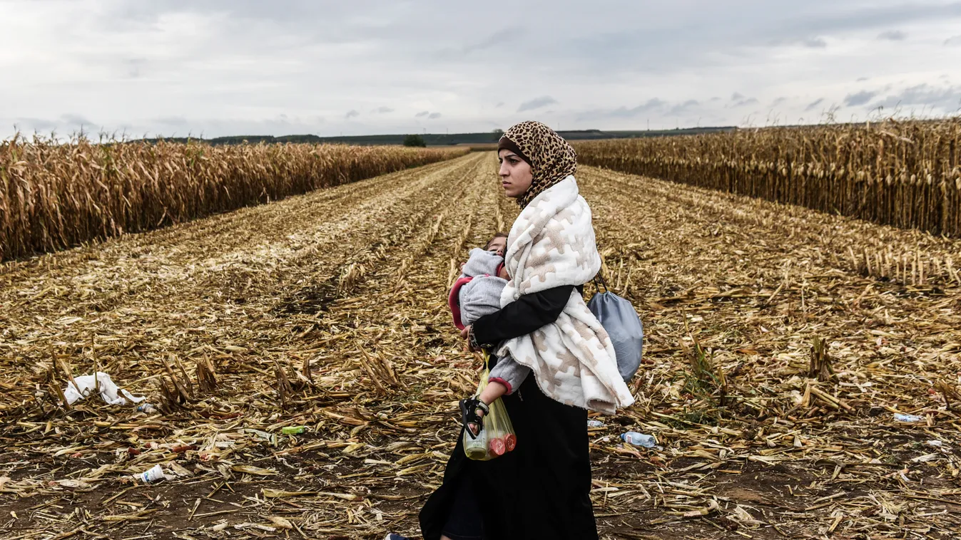 Szerbia, Horvátország, szerb-horvát határ, migráns, menekült 
