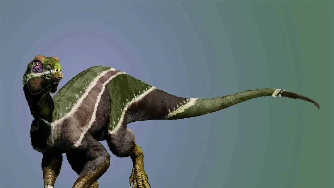 dinoszaurusz 