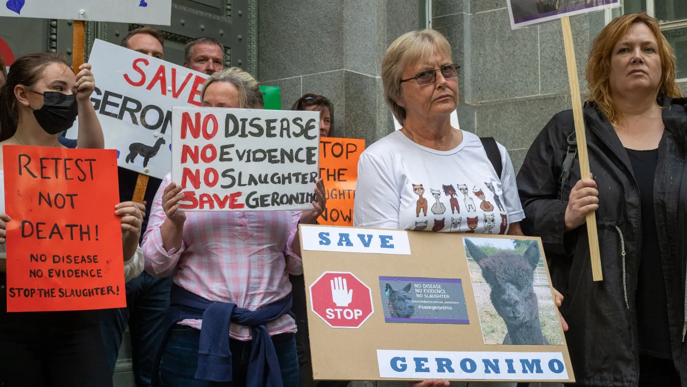 tiltakozás alpaka Geronimo 