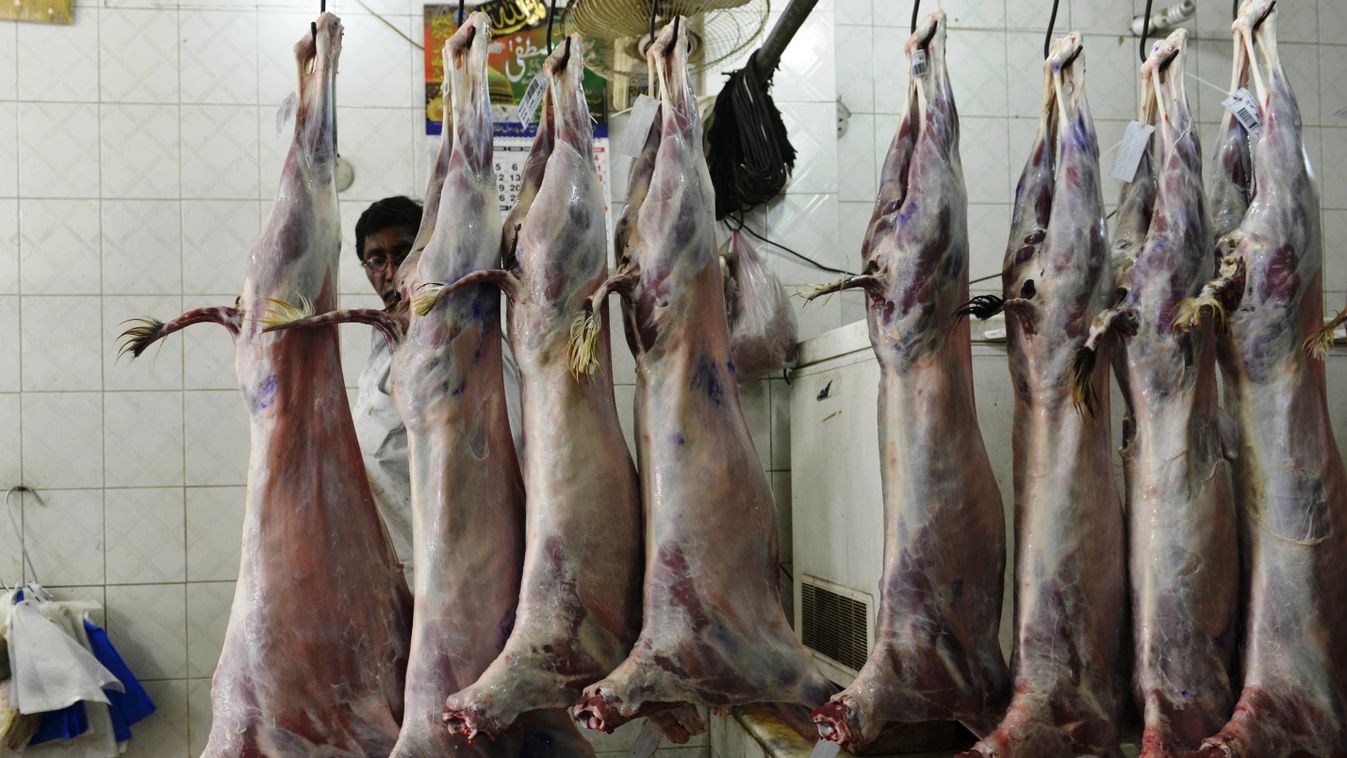 Horizontal To go with 'Pakistan-Food-Religion-Islam-Halal' FOCUS by Guillaume LAVALLÉE
This photograph taken on April 10, 2015, shows a Pakistani butcher as he hangs goat carcasses at a shop in Lahore. Under the proposed law, all food exports will be test