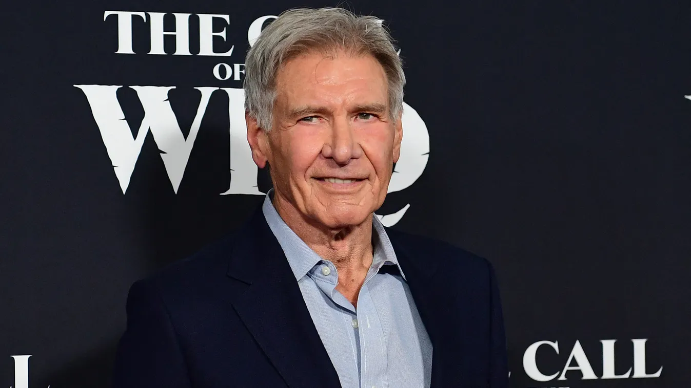 Harrison Ford Szexi hegek: sztárok, akik nem takargatják sebhelyeiket 