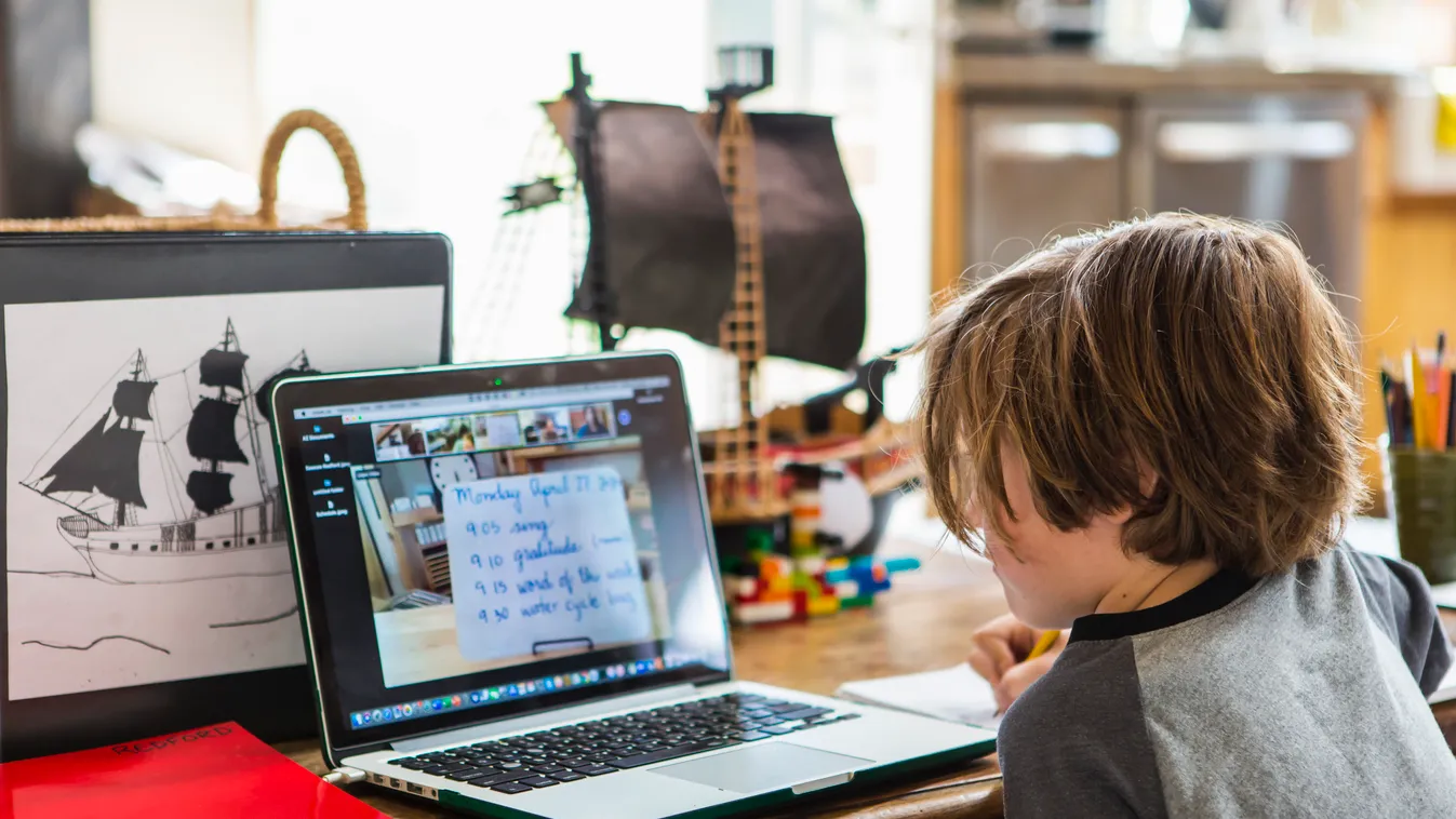 Lockdown,United States,6 year old boy having a remote schooling session with his teacher Teaching Caucasian Ethnicity CHILD Elementary Age 6-7 Years Male Boys TEACHER STUDENT One Person COMPUTER Laptop Kitchen Communication Domestic Life Education TECHNOL