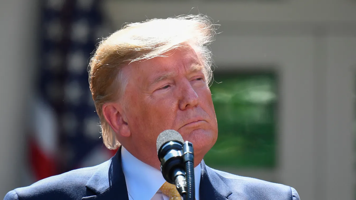 politics Horizontal US President Donald Trump speaks during an event about expanding health coverage options for small businesses and workers in the Rose Garden of the White House in Washington, DC, June 14, 2019. (Photo by Jim WATSON / AFP) 
