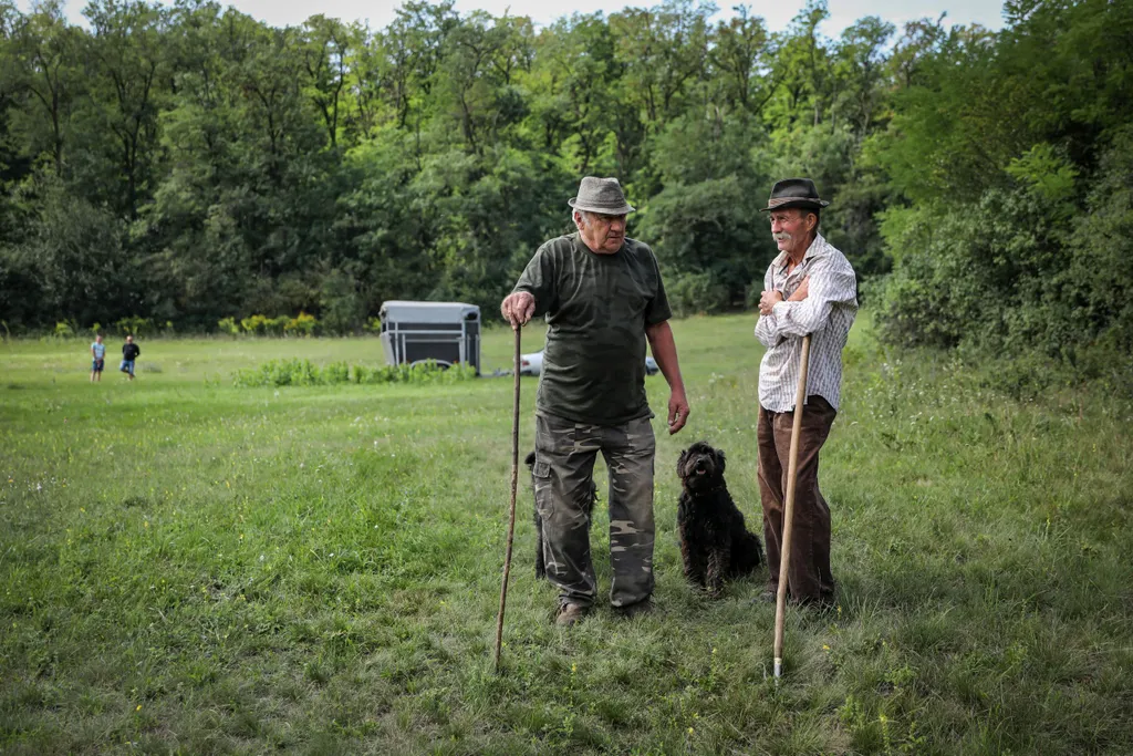 Farm VIP forgatás 2020 augusztus 19-én 